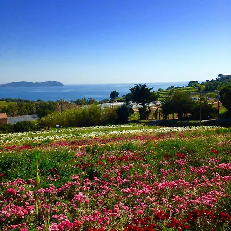 Simple Life In Provence * Hyères